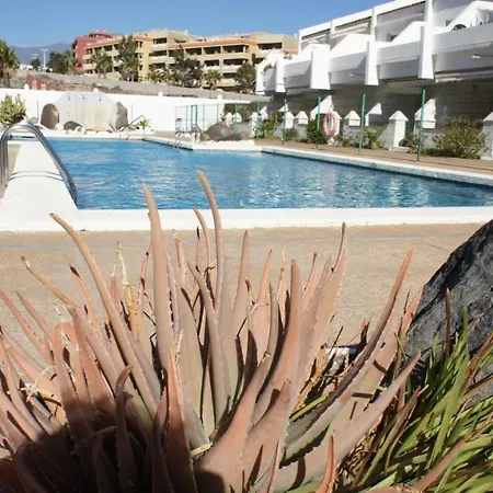 Apartamento Con Jardin Y Piscina En El Balancon * El Medano (Tenerife)