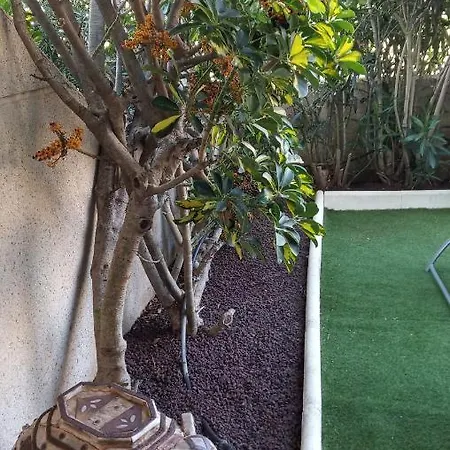 Appartement Apartamento Con Jardin Y Piscina En El Balancon *